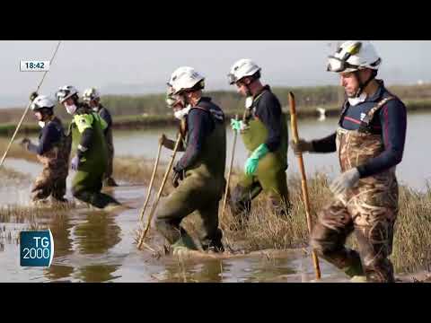 Alluvione Valencia, trovati altri corpi. Oltre 220 i morti